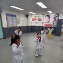 용인대용전태권도 이미지