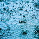 사랑의연못 이미지