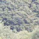 대구지방법원 영덕지원 이미지