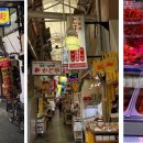 구마노고도 순례길 (Kumano Kodo Pilgrimage Route) 후기 이미지