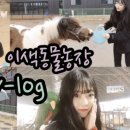 영앤미