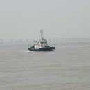 H9365 이미지