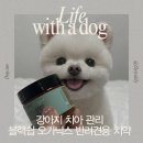 덴트플러스 - 군포시 공단로 39 | 성분 좋은 강아지 치약 추천 | 블랙쉽오가닉스 :: 내돈내산 솔직후기