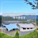 [캠핑로그] 강원도 홍천강 애견 동반 : 홍천태극캠핑장