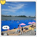 공원 | 2026 난지 한강공원 물놀이장 후기｜주차, 꿀팁, 명당자리 추천, 입장료 총정리