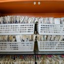 제일사세탁소 이미지