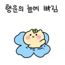 내포C&C애니스타 미술학원 이미지