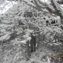 청목장갑 이미지