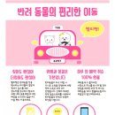 타요타요 펫택시 이미지