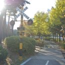 박물관공원(부평역사박물관 옆) 이미지