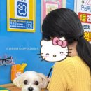스몰굿커피범일역 네이버블로그