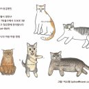 상아동물병원 이미지