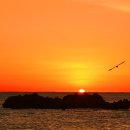 동향민박&펜션 이미지