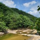 산수화펜션 | 대전 근교 경북 상주 용유계곡 계곡펜션 산수화 펜션 여름휴가 보내기 좋은 곳 솔직 후기