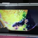 손오공 게임장 이미지