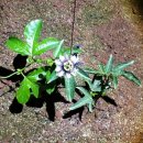 선우농장 이미지