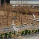군위군효령면보건지소 네이버블로그