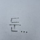 네일아키비스트 | 여전히 먹는 얘기밖에 없는 일상글