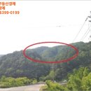 상걸리(상)