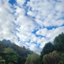 복주민박 이미지