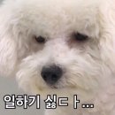 공감 이미지