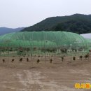 단국대학교 정책경영대학원 이미지