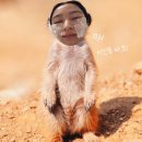 구리시시외,공항버스정류장 옆 | 11월 튀르키예 - 9일차(이스탄불, 탁심광장, 인도네시아 음식점 추천, 카이막, 이스탄불 공항 가는 법)