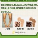 성장기 칼슘 부족하다고 느낄 때 알아볼 것 이미지