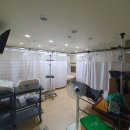 효자손마취통증의학과의원 이미지