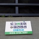 도그펜션