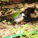 새아침공원 생태교육관 이미지