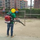 판암초등학교/판암유치원 이미지