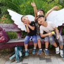 화수목 농원 이미지