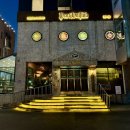 돌피노
