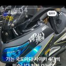 라이브 이미지