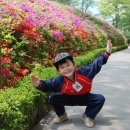 새동산어린이집 이미지