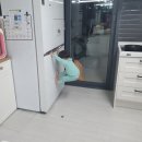 황지어린이집 | 봄이가 머리카락을 기르는 이유,온고당 솔직 후기