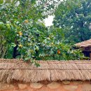 중앙공원 배드민턴장 | 분당 수내동가옥 한산이씨 집성촌 경기옛길영남길2코스 분당중앙공원