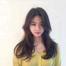 코코헤어(CoCo Hair) Daum카페