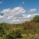 승준농장 이미지