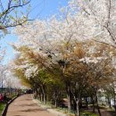 어린이대공원역(7) 이미지