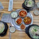 일영대추나무집 일산점 네이버블로그