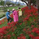 불갑사관광지 이미지