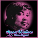 Suitcase Blues - Sippie Wallace - 이미지