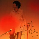 박강수콘서트 이미지