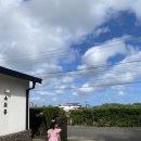 실내포장식당 | 우정원 베이커리 / 월정리 해변/ 월정리 기념품샵 헬로 제주 / 제주 고등어회 맛집 청파식당 포장 후기