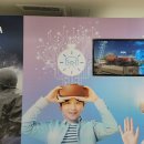 스미스평화관 이미지