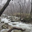 영축산정상 | ⛰️ 비 뚫고 완주! 영남알프스 신불산·영축산 일일 2산 우중산행 후기 (산떨별)