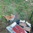 마로니에 하우스 이미지