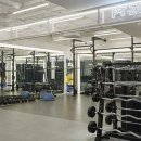 짐엑스텐 이미지